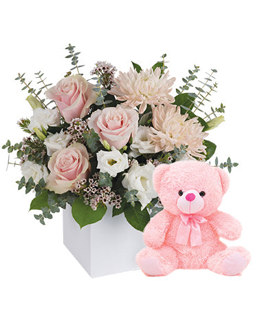 IT'S A GIRL WITH TEDDY