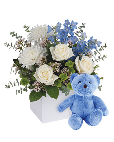 ITS A BOY WITH TEDDY