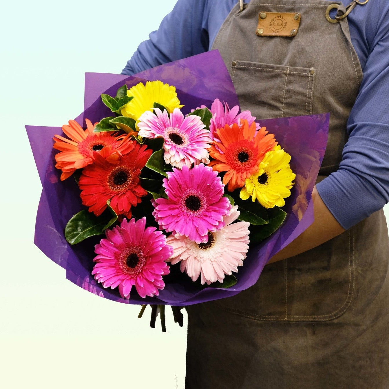 colourful gerbera bouquet held