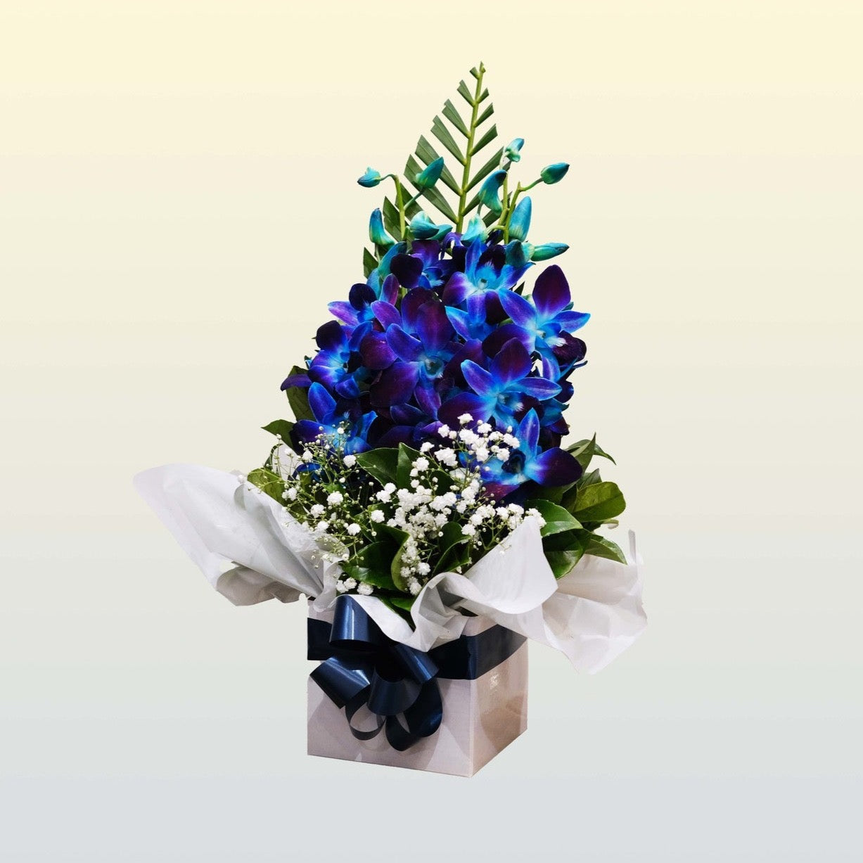 BLUE ORCHID BREEZE