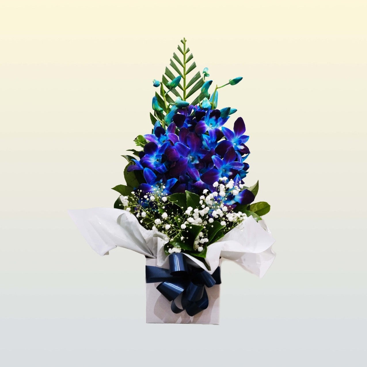 BLUE ORCHID BREEZE