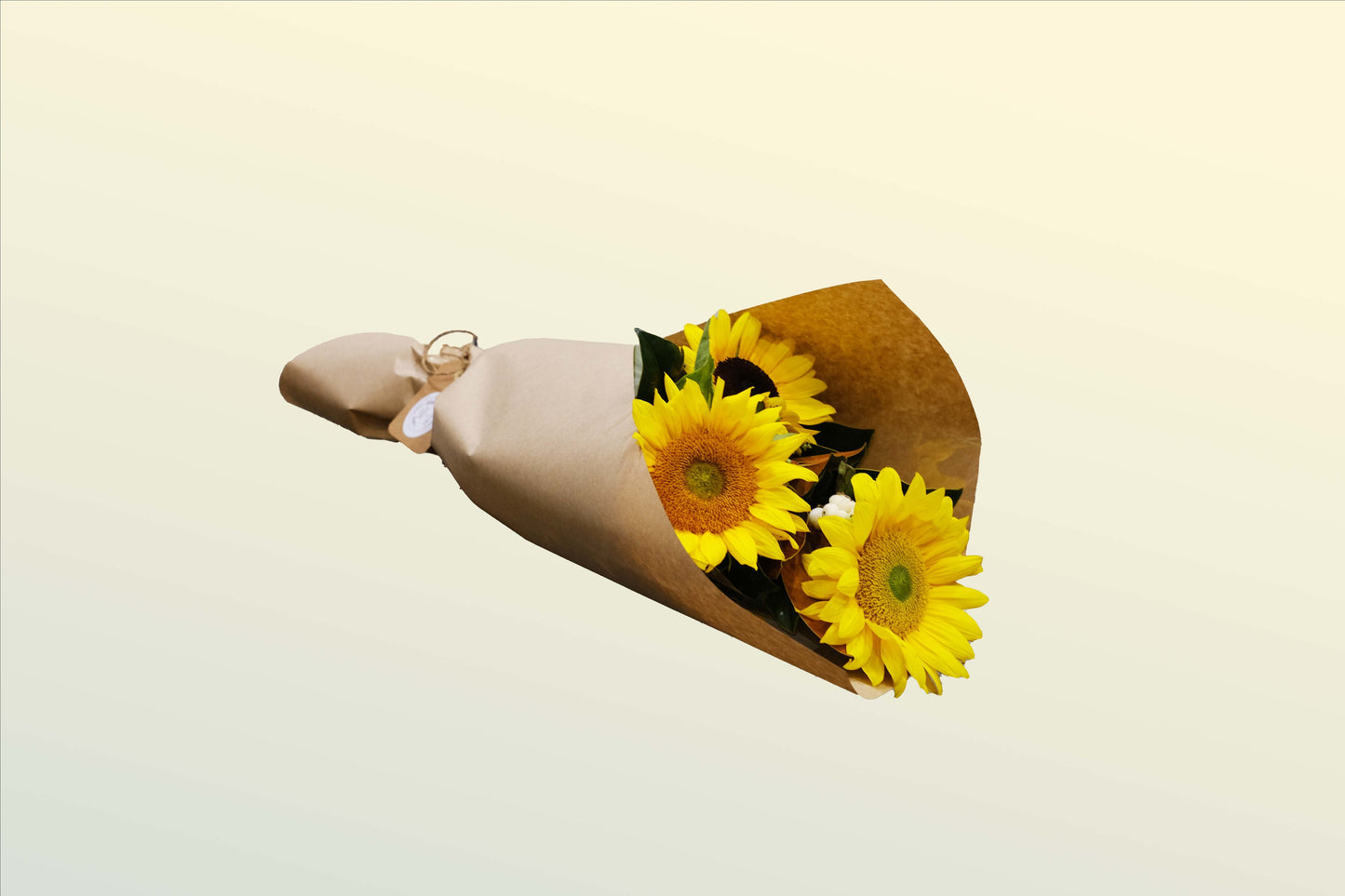 SUNNY DAY