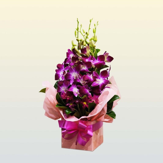 Purple Singapore Orchids