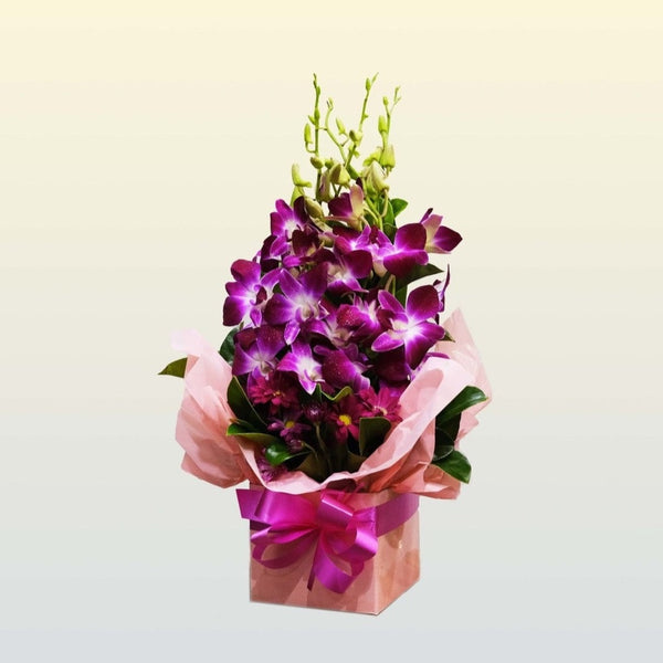 Purple Orchid Breeze Order Flowers Online Best Local Florist